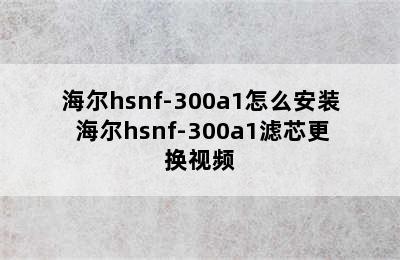 海尔hsnf-300a1怎么安装 海尔hsnf-300a1滤芯更换视频